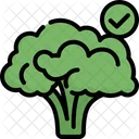 Broccoli Organic Green Icon