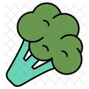 Broccoli  Icon