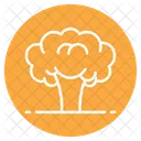 Broccoli  Icon