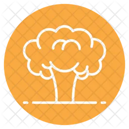 Broccoli  Icon