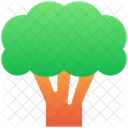 Broccoli  Icon