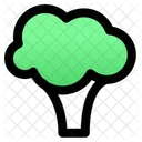 Broccoli  Icon