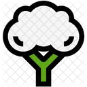 Broccoli  Icon