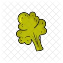 Broccoli Icon