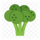 Broccoli Vegetable Food Icon