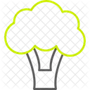 Broccoli  Icon