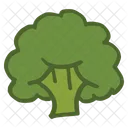 Broccoli Fresh Veggie Icon