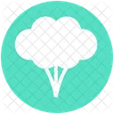 Broccoli  Icon