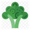 Broccoli  Icon