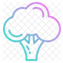 Broccoli  Icon