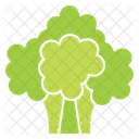 Broccoli  Icon