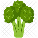 Broccoli  Icon