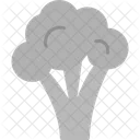 Broccoli  Icon