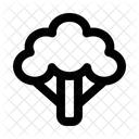 Broccoli  Icon