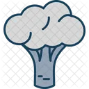Broccoli  Icon