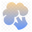 Broccoli  Icon
