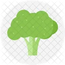 Broccoli Verde Pianta Icon