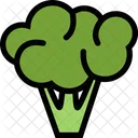 Broccoli Vegetables Fruit Icon