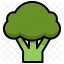 Brocoli Verdura Comida Icon