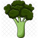 Brocoli Verdura Comida Icono