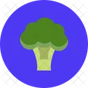 Brocoli  Icône