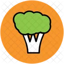 Brocoli Vegetales Saludable Icono