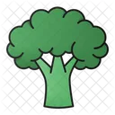 브로콜리 녹색 채식 아이콘