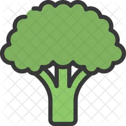 Brocoli  Icon