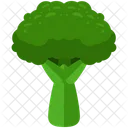 Brocoli  Icône