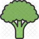 Brocoli  Icon