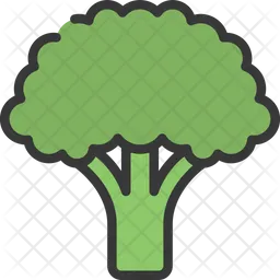 Brócoli  Icono