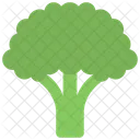 Brocoli  Icon