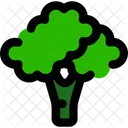 Brocolli  Icon