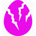 Broken Egg Egg Hatching Icon