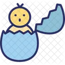 Broken Egg Chick Easter Icon