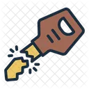 Broken key  Icon