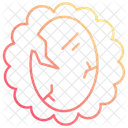 Broken mirror  Icon