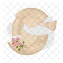 Broken Plate Dish Plate Icon