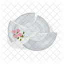 Broken Plate Dish Plate Icon