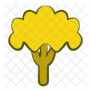 Brokkoli Gemuse Symbol