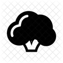 Brokkoli Gemuse Gesunde Ernahrung Symbol