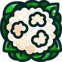 Brokkoliblume  Symbol