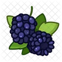 Brombeere  Symbol