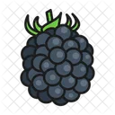 Brombeere  Symbol