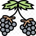 Brombeere Brombeerfrucht Obst Symbol