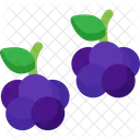 Brombeeren  Symbol