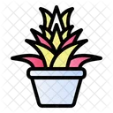 Bromelia  Symbol