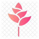 Bromeliad Botanical Blossom Icon