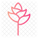 Bromeliad Botanical Blossom Icon