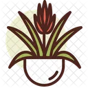 Bromeliad  Icon